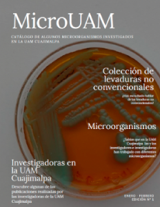 MicroUAM